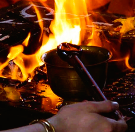ayush havan
